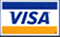Visa Payment